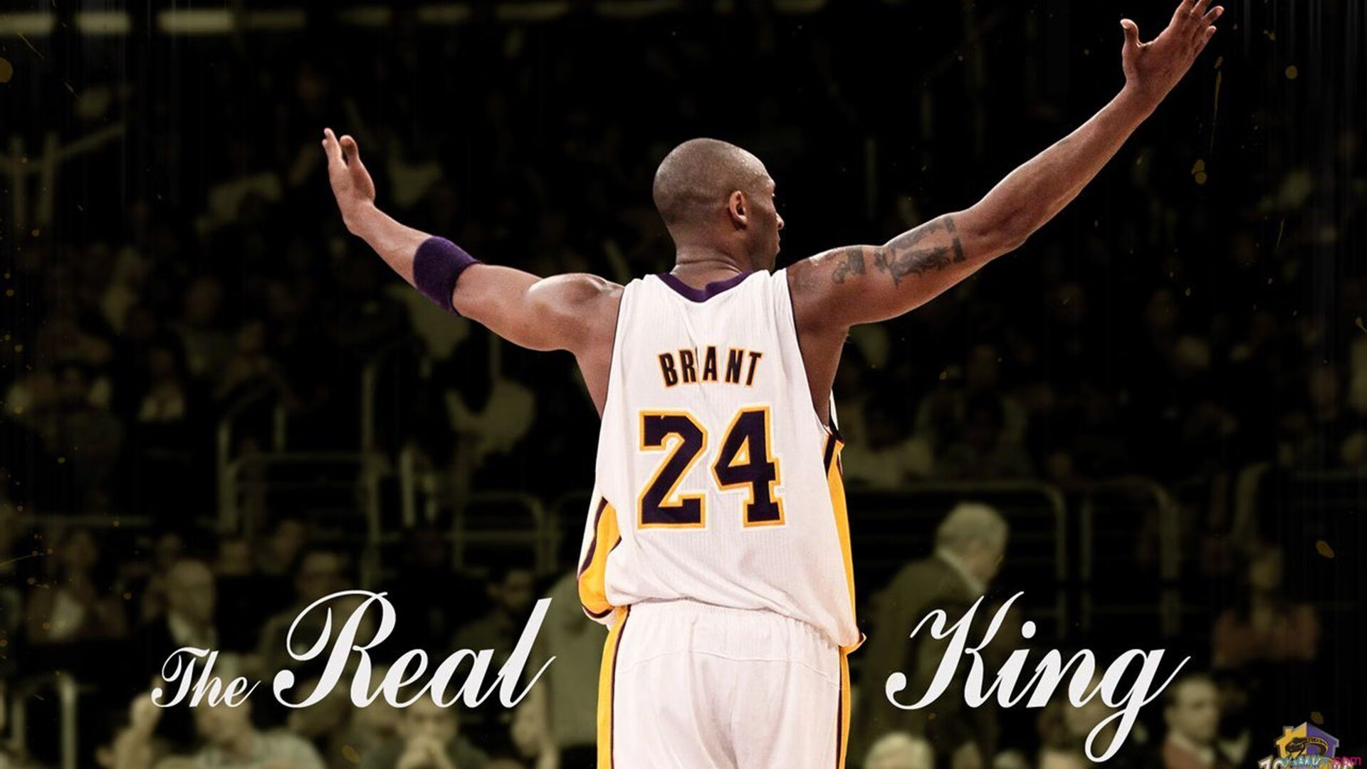 史上最年轻的“欧洲巨星”崛起起点，史上最年轻的明星是谁